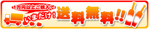 送料無料キャンペーン中